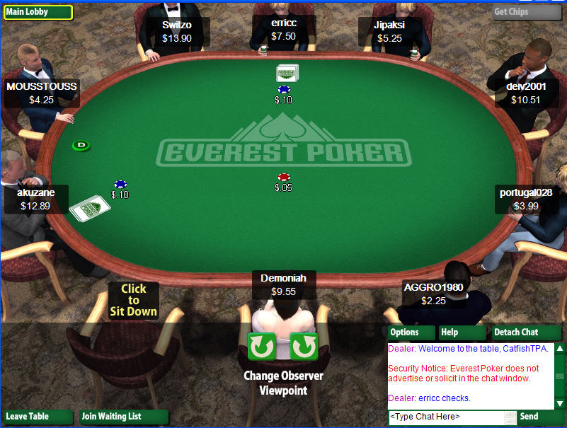 Everest Poker Table View